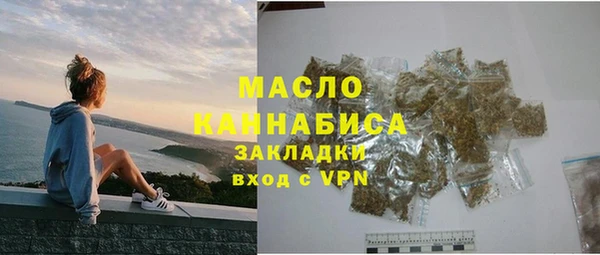 индика Киреевск