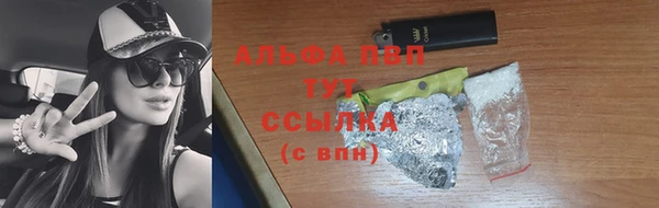 индика Киреевск