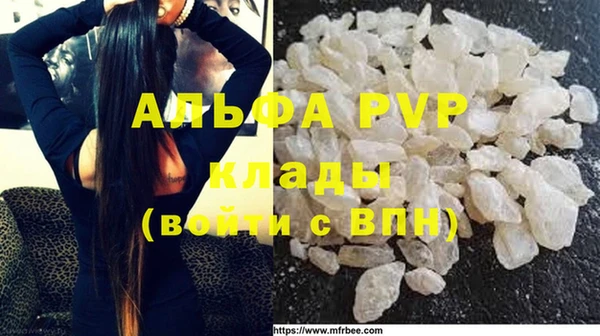 индика Киреевск