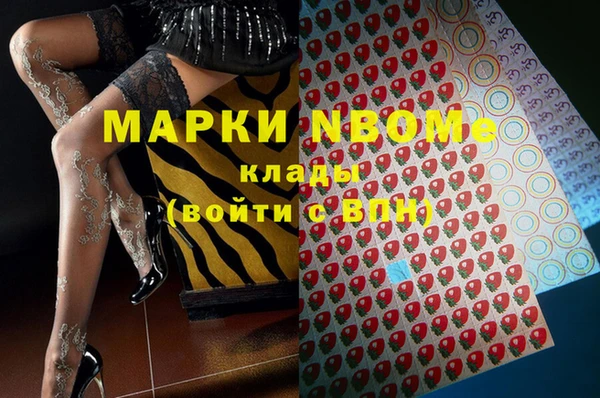 индика Киреевск