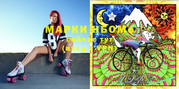 индика Киреевск