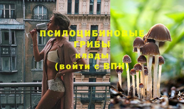 герыч Кинешма