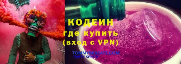 индика Киреевск