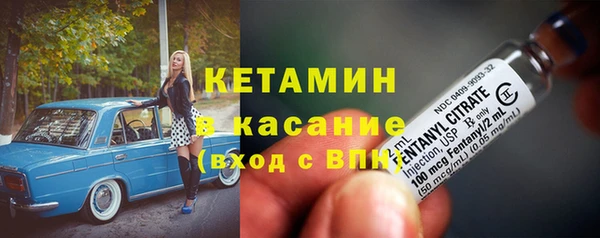 индика Киреевск